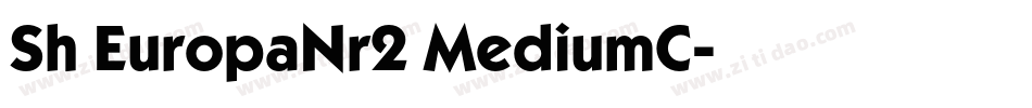 Sh EuropaNr2 MediumC字体转换